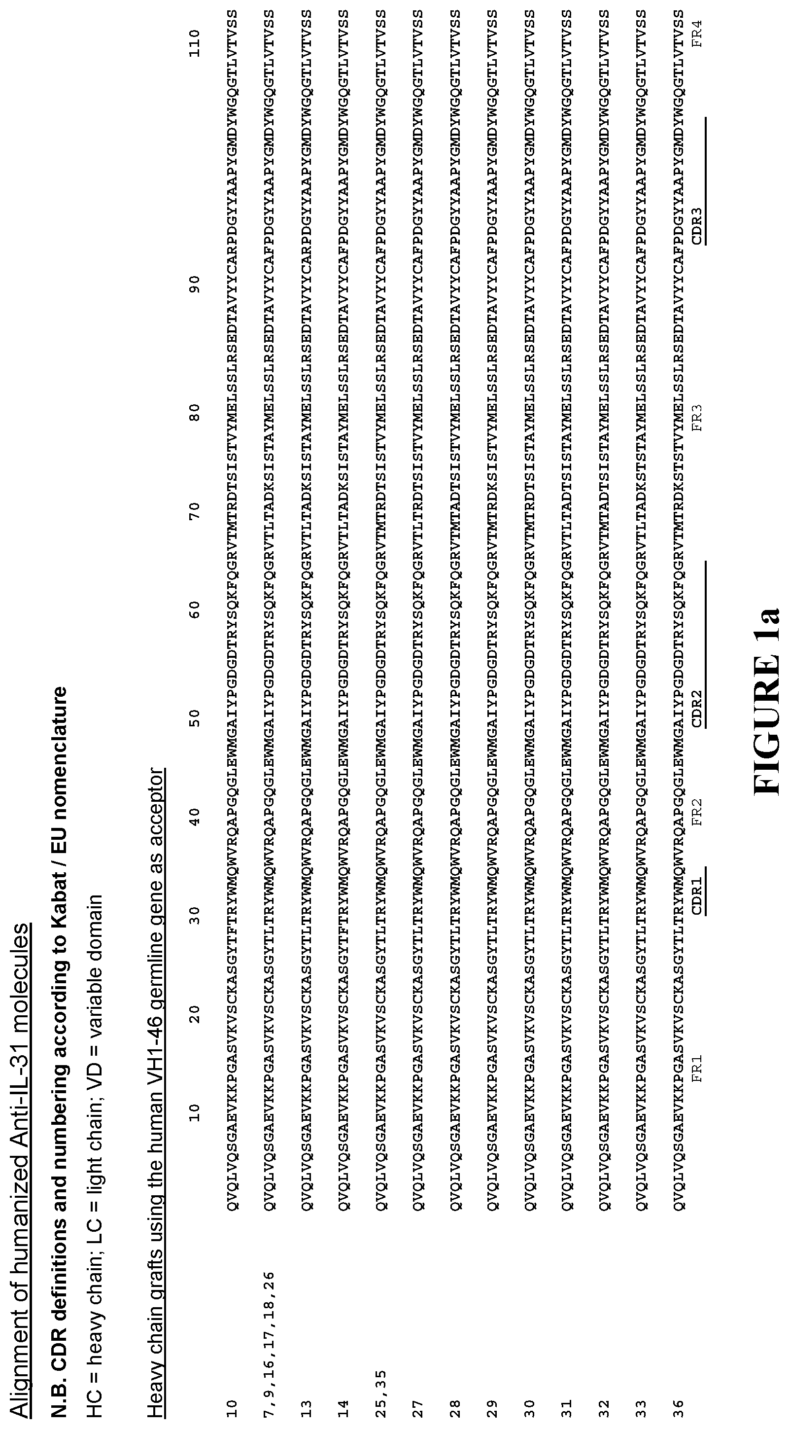 Invention for Treatment of pruritic diseases with IL-31 monoclonal antibody