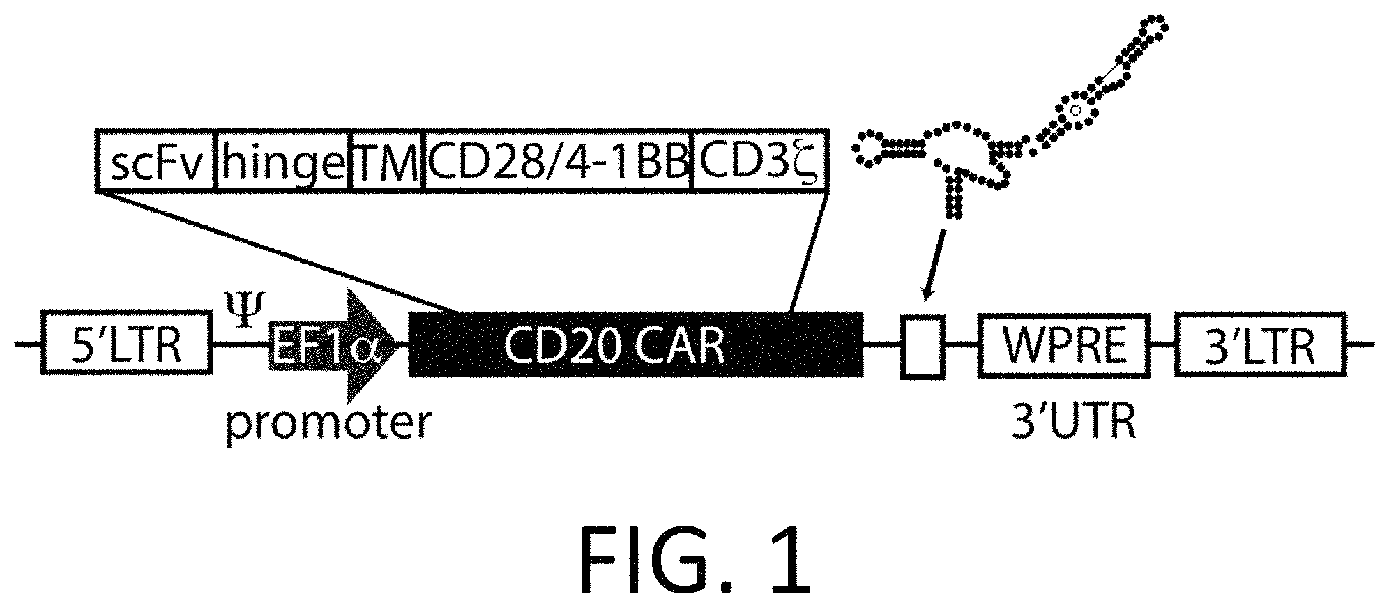 Invention for Smart Car Devices, DE car Polypeptides, Side CARs and Uses Thereof