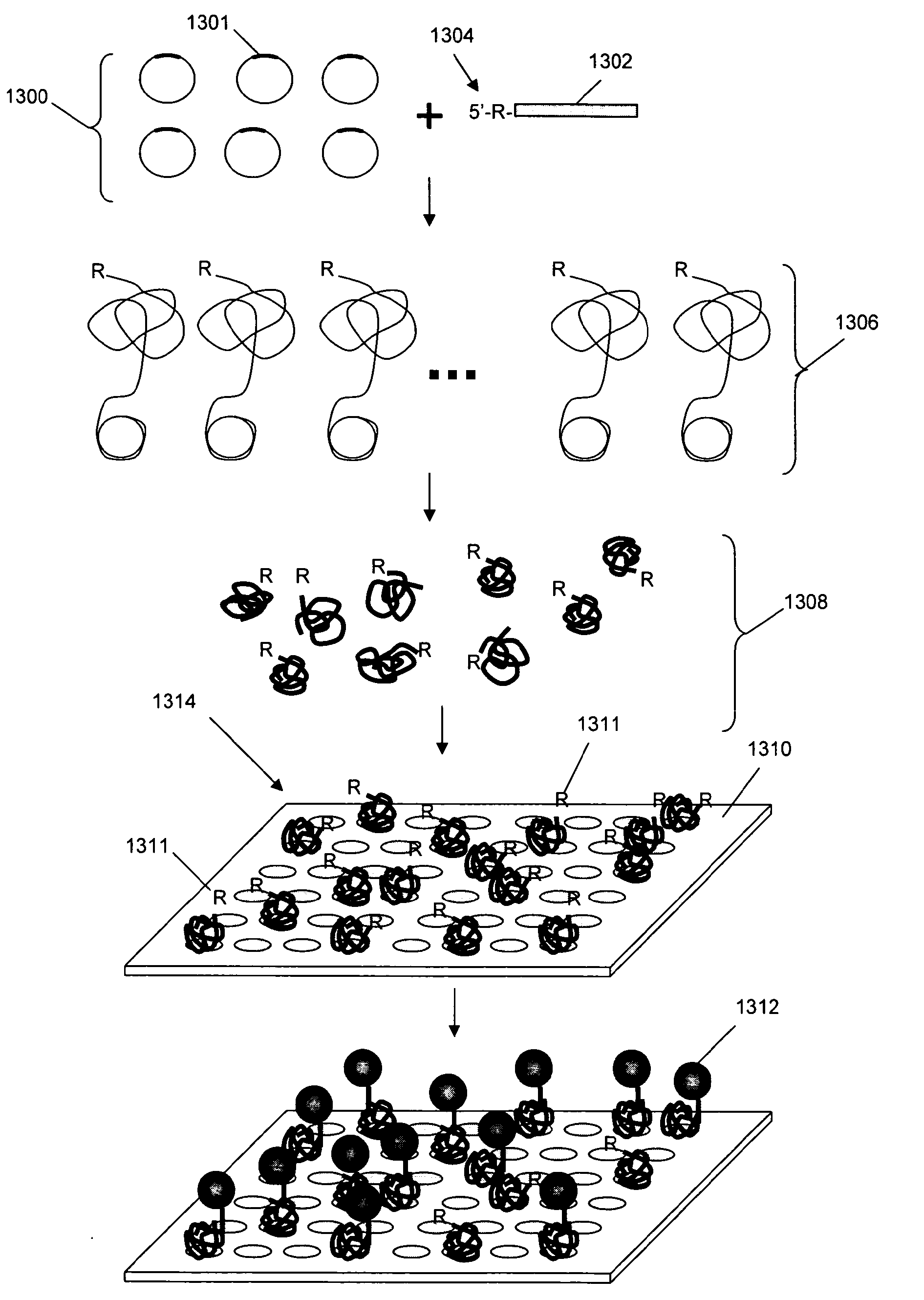 Invention for High density dna array