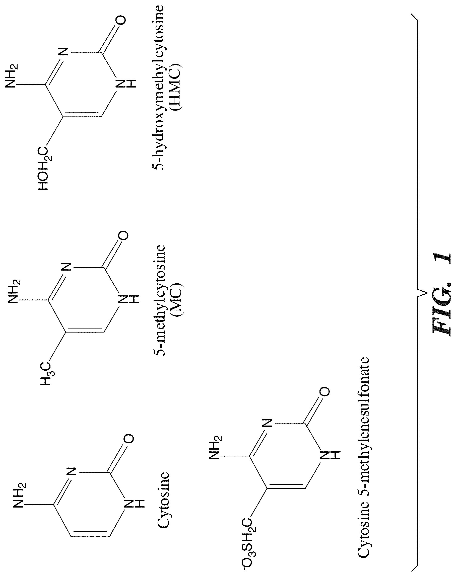 Invention for Selective Oxidation of 5-Methylcytosine by Tet-family Proteins