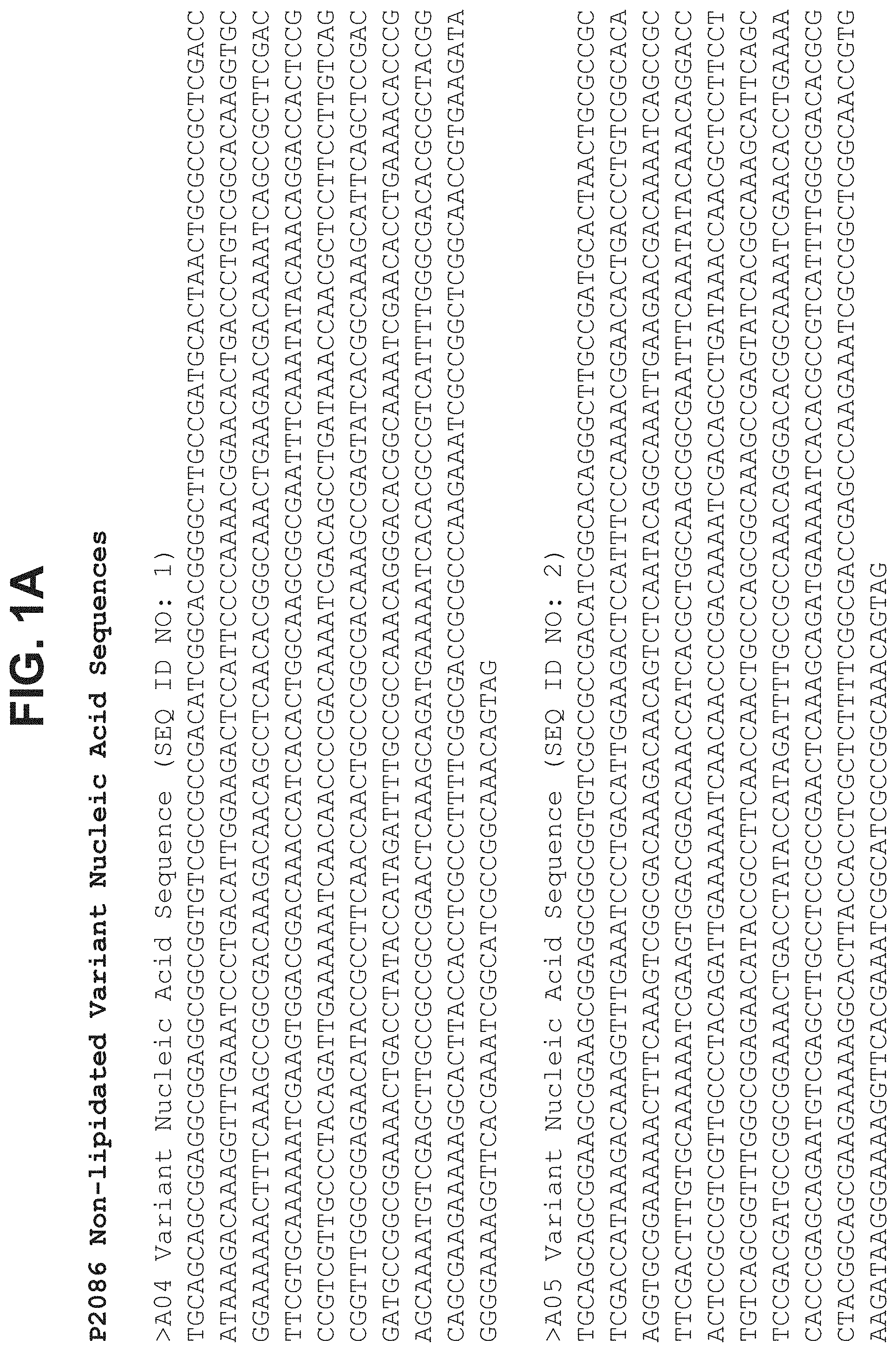 Invention for Non-lipidated Variants of Neisseria Meningitidis Orf2086 Antigens