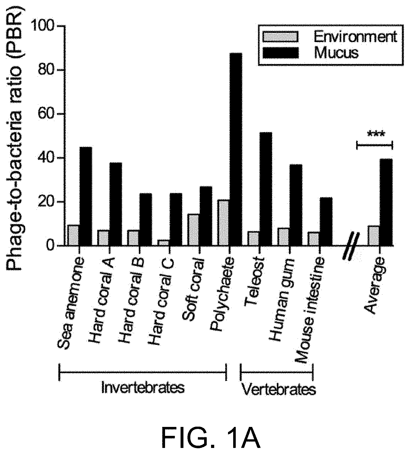 Invention for Products of manufacturing containing bacteriophages