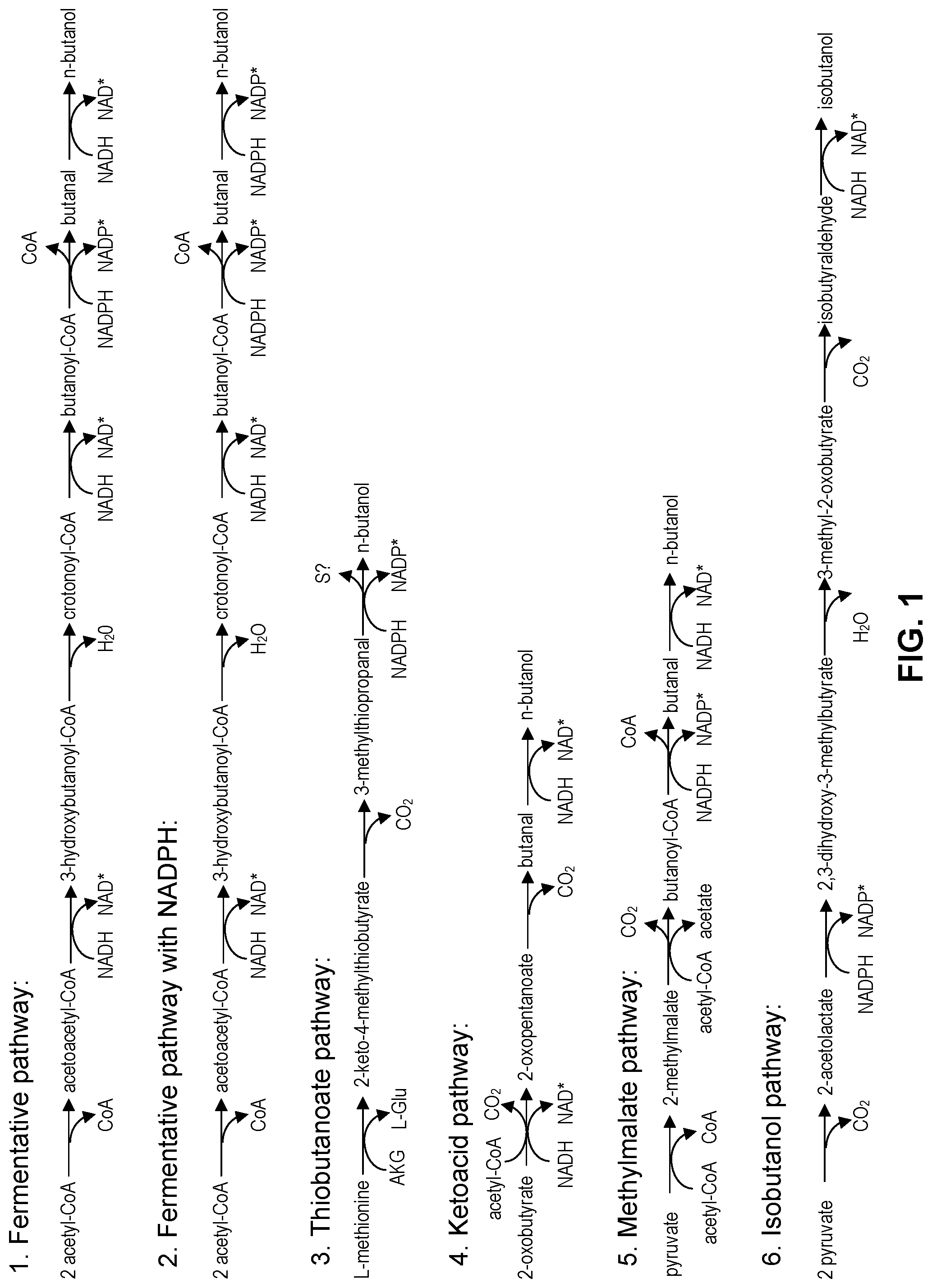 Invention for Biological Production Of Multi-Carbon Compounds From Methane