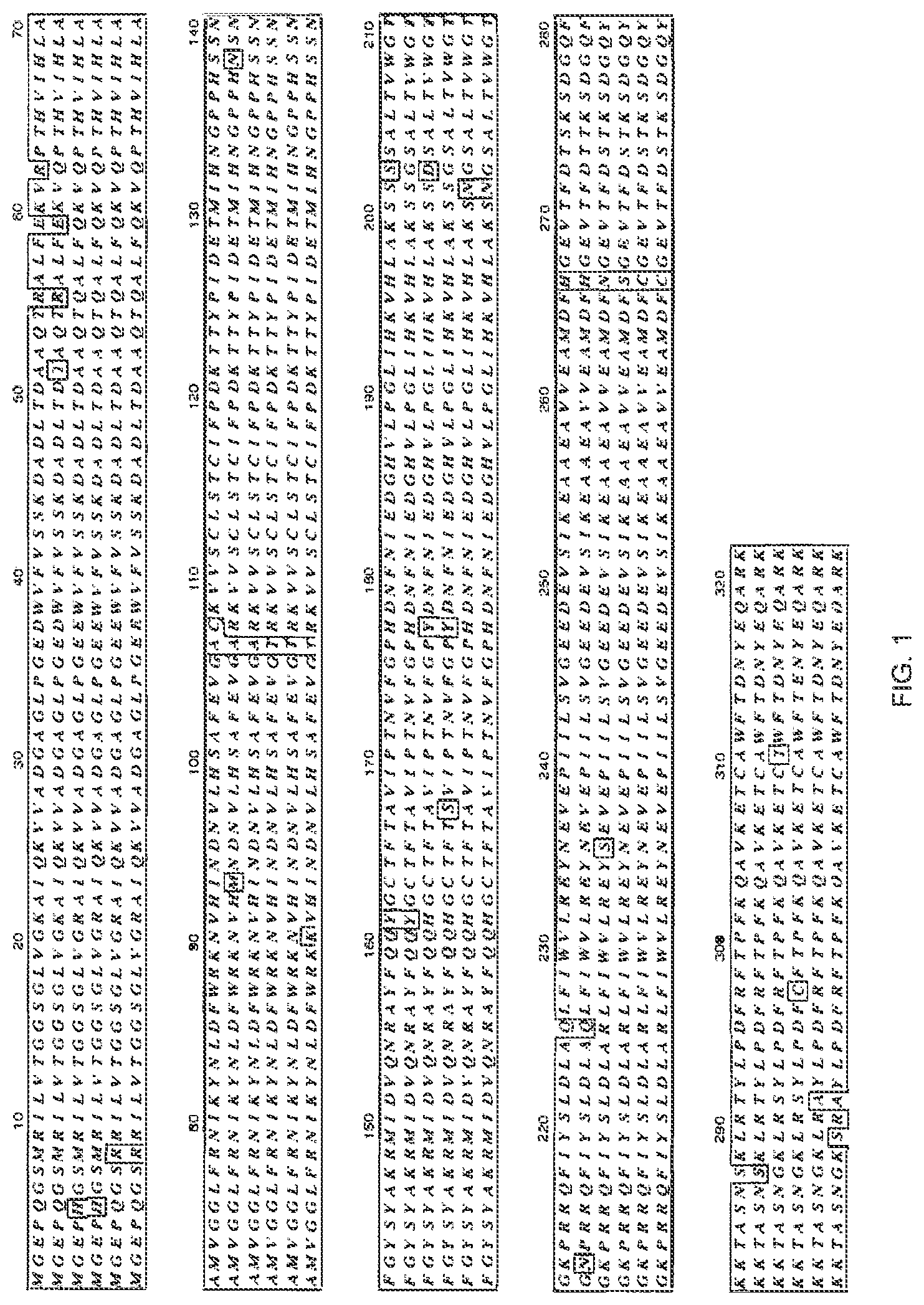 Invention for Fucosylation-deficient cells