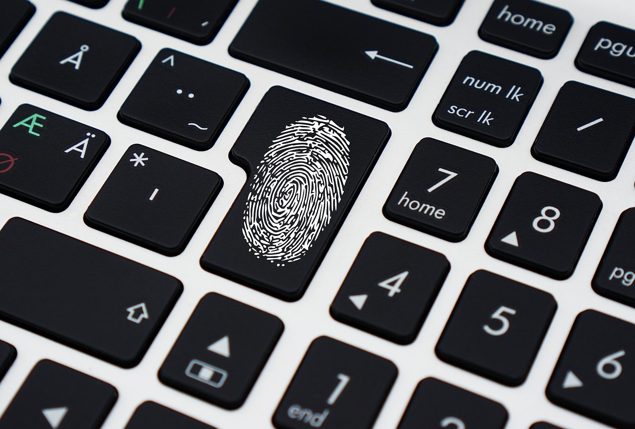 Digital Identity Verification in Legal Processes