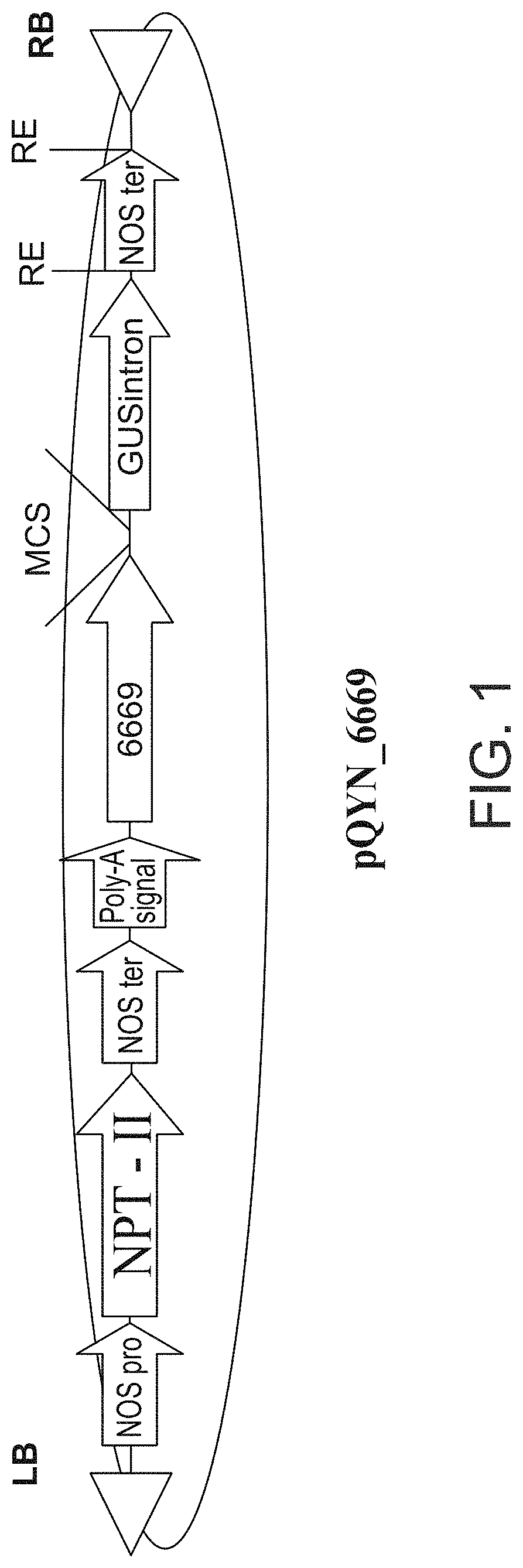 Invention for Isolated Polynucleotides and polypeptides, and methods for using the same to increase abiotic stress resistance, biomass, and yield of plants.