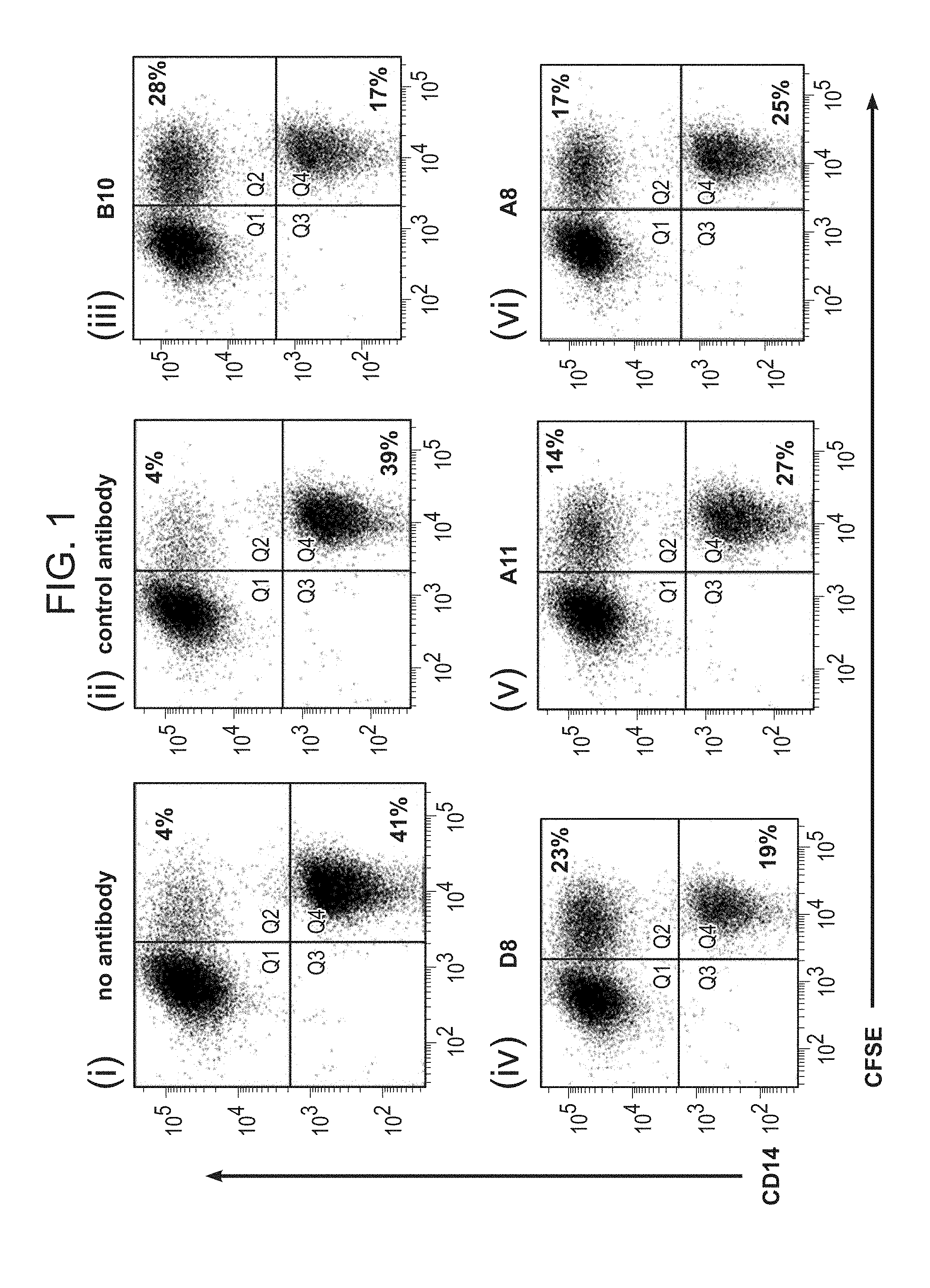 Invention for Antibody Therapeutics that Bind CD47