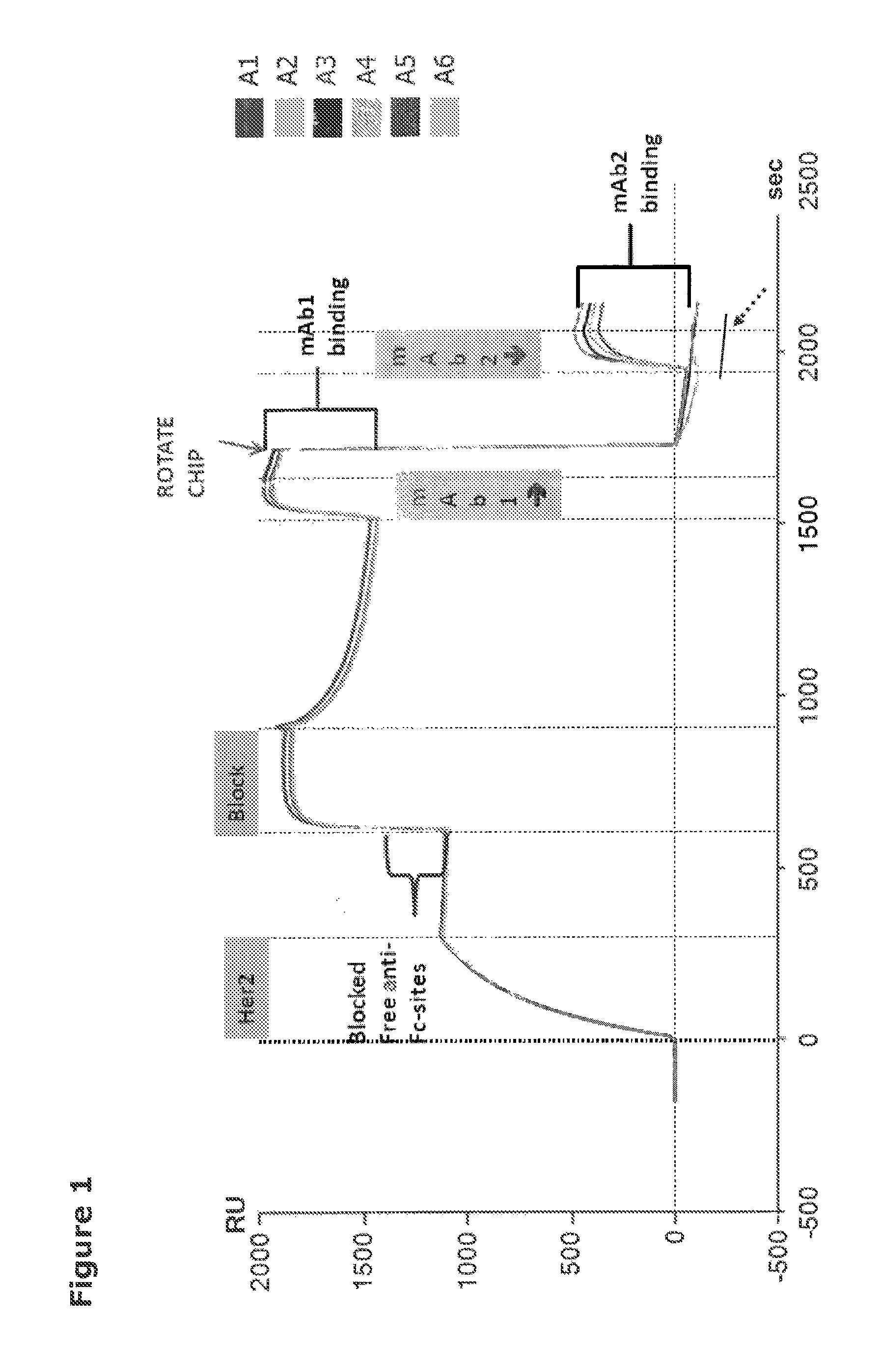 Invention for Anti-HER2 antibodies, compositions and formulations