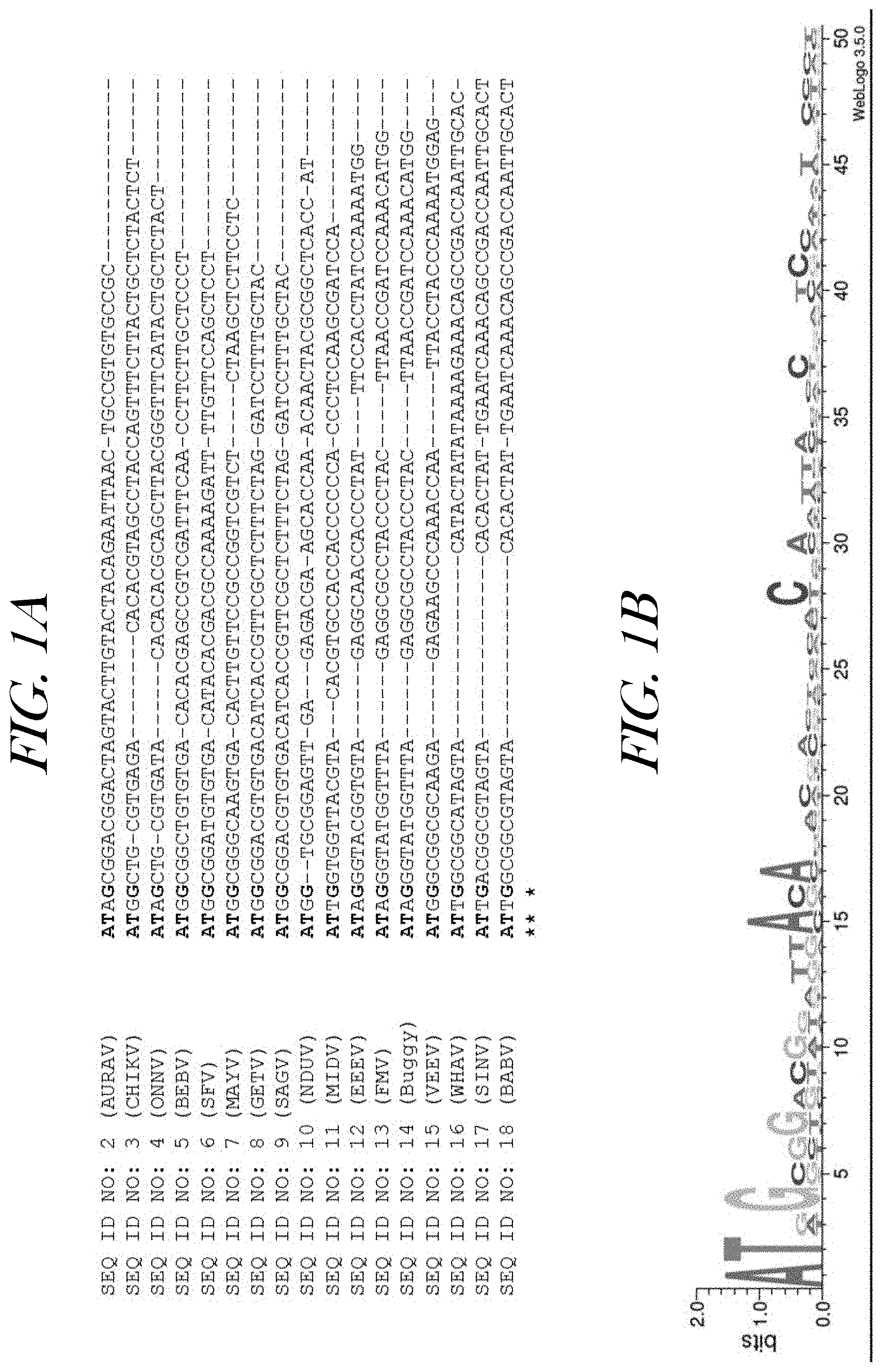 Invention for Recombinant Virus Replicon Systems and their Uses