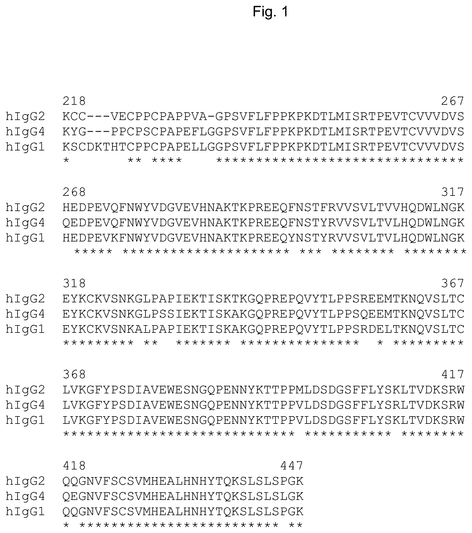 Invention for Antibody Fc Mutants with Ablated Effector Functions