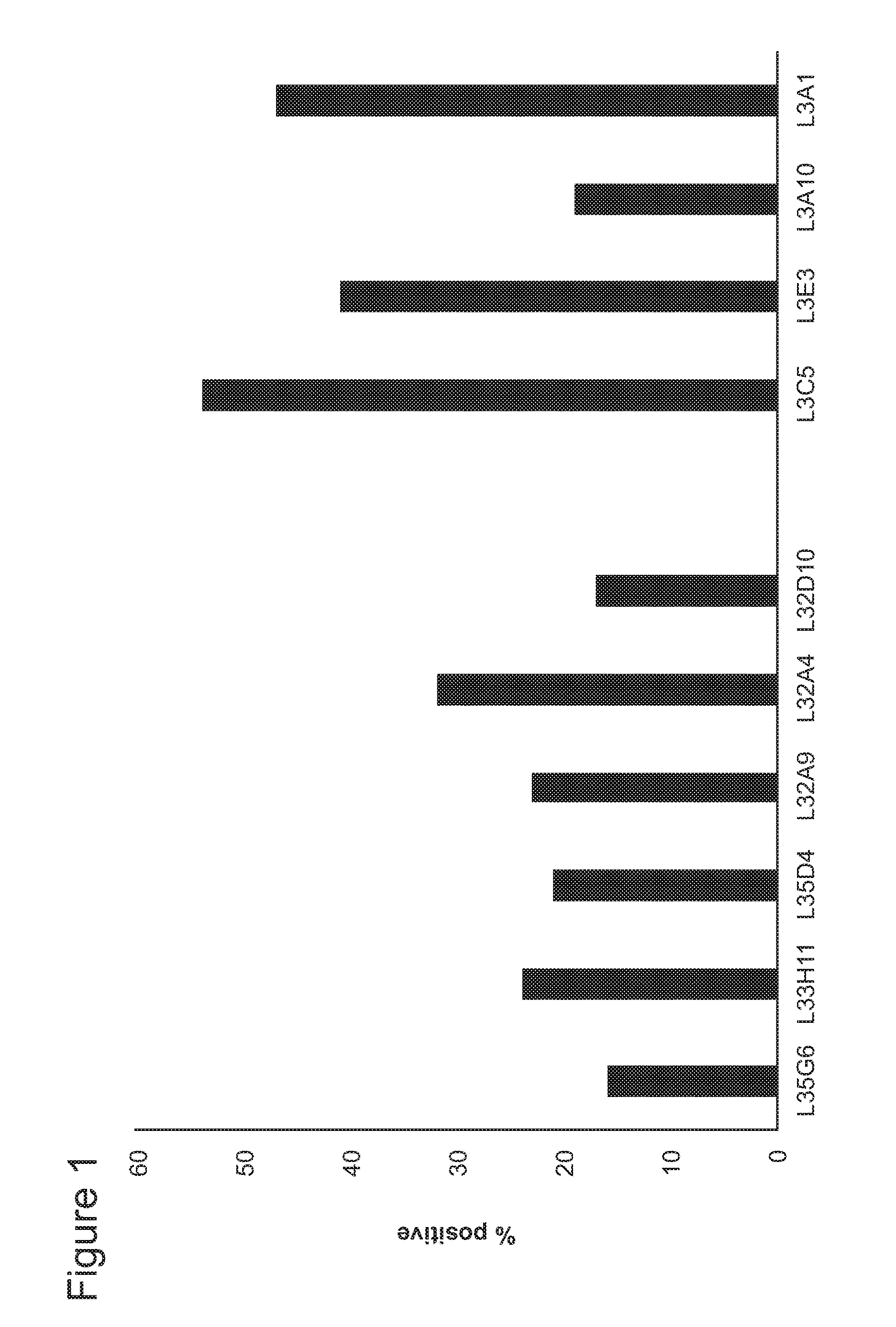 Invention for Antibody Therapeutics that Bind LAG3