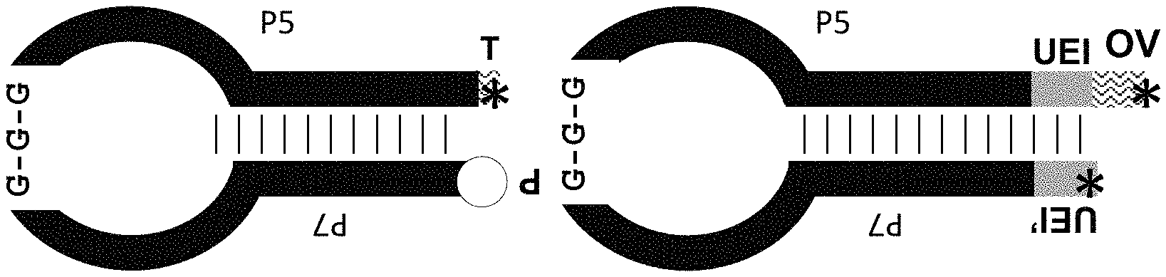 Invention for Methods of analyzing nucleic acids