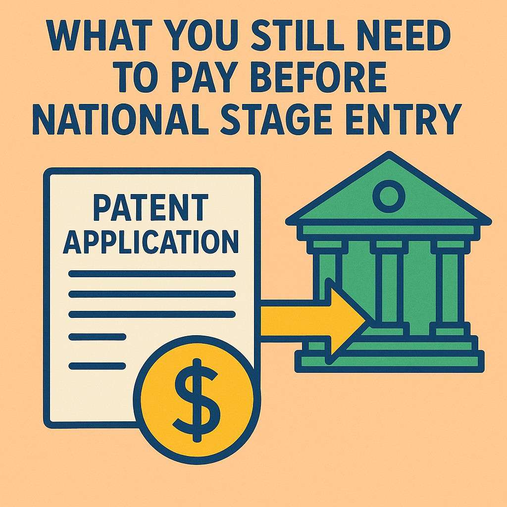 And that lack of insight means your national filings become more expensive later because each country must do more work. You end up paying more over time, even though the early choice looked affordable.
