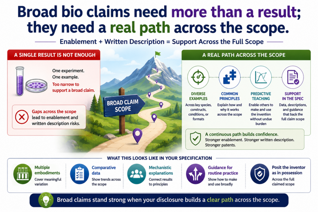 A broad claim can be valuable. It can stop copycats from making small changes and pretending they invented something new. But in bio and med patents, broad claims also face sharper review because the field can be hard to predict.